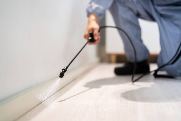 Licensed Termite Control service in Somers Point, NJ - Nex Pest Control