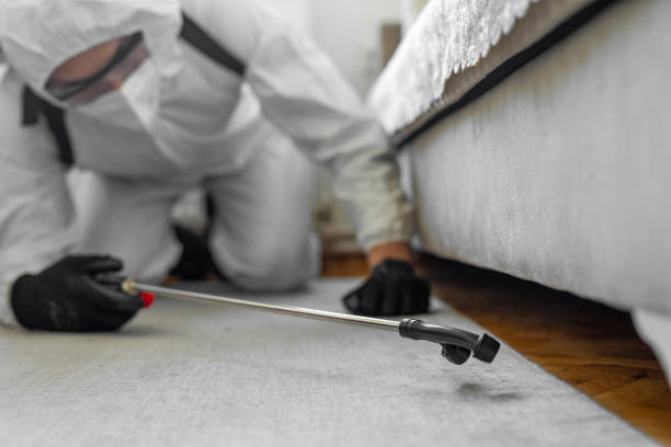 Professional Termite Control technician working in Somers Point, NJ