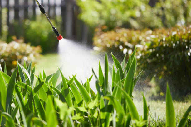 24/7 Emergency Termite Control experts in Somers Point, NJ