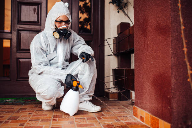 Reliable Termite Control contractor in Somers Point, NJ by Nex Pest Control
