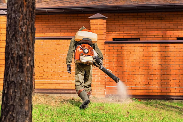 Trusted Rodent Control service in Somers Point, NJ - Nex Pest Control